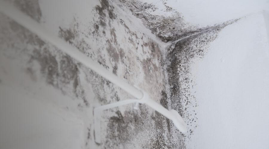 Why choose water damage cleanup for ceiling water damage repair in Costa Mesa